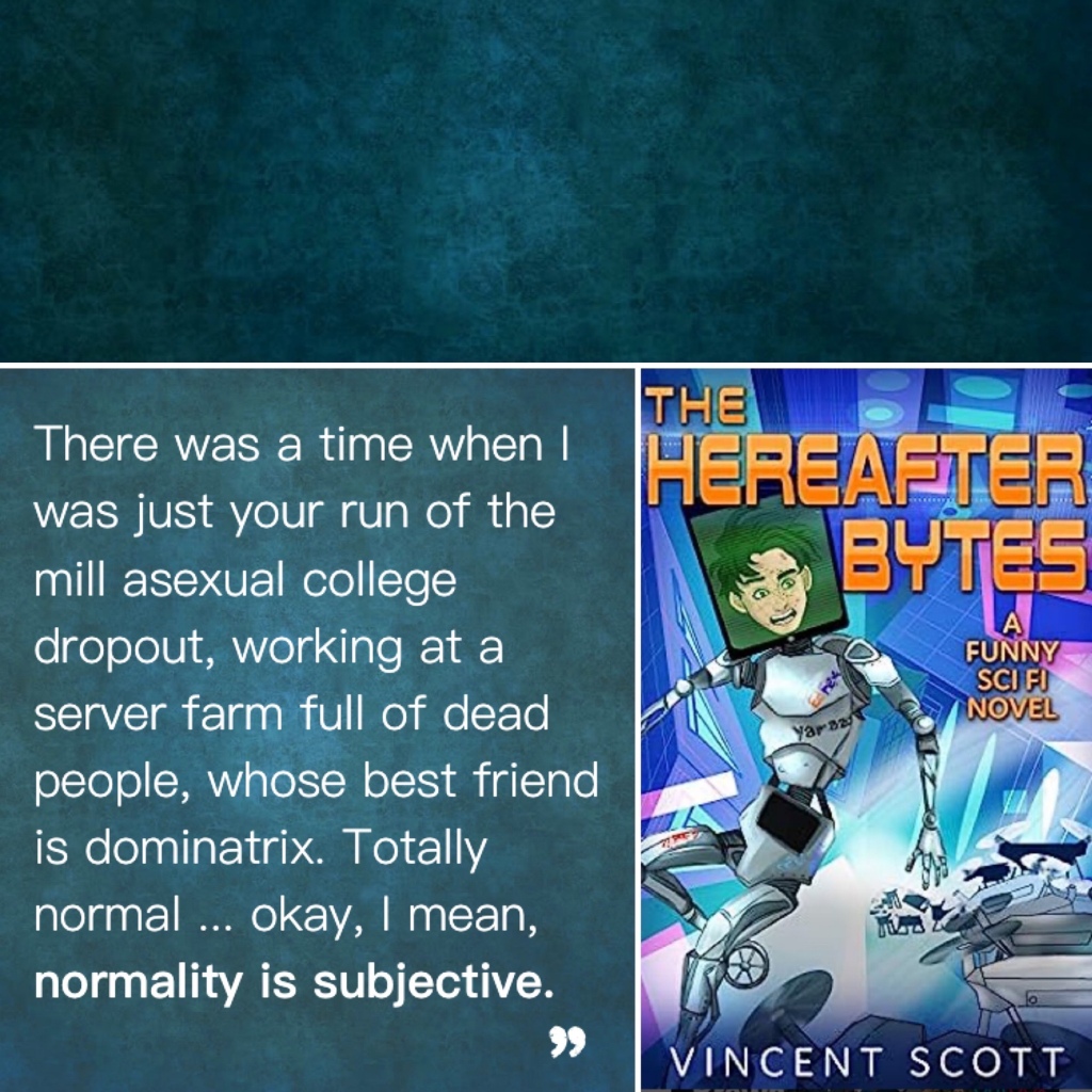 Book cover: The Hereafter Bytes by Vincent Scott. Subtitle: A funny sci-fi novel.
Picture: A cartoonish, humanoid robot appears to be running away from something. For a face, the robot has a digital screen displaying a man's worried expression.

To the left, a quote from the book reads,
There was a time when I was just your run of the mill asexual college dropout, working at a server farm full of dead people, whose best friend is dominatrix. Totally normal ... okay, I mean, normality is subjective.